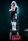 Dark Blackcat Heroine statue 1/6 hand painted